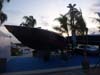 boat_2009 106